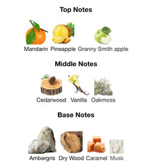 Afnan 9pm rebel Edp 100ml