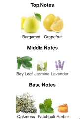 Rue Broca Penthouse Ginza